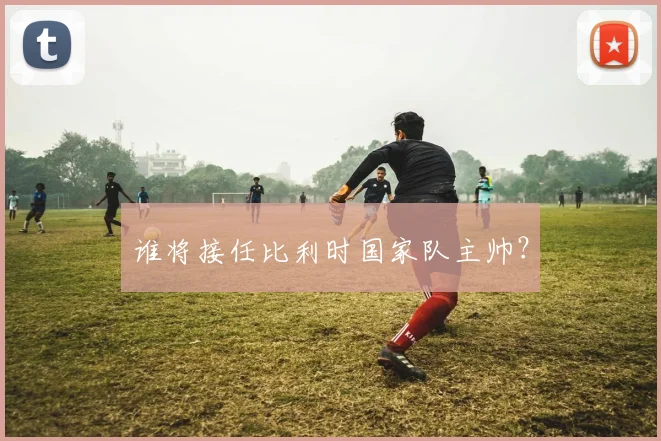 谁将接任比利时国家队主帅？